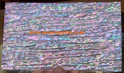 Awabi strip glued sheet