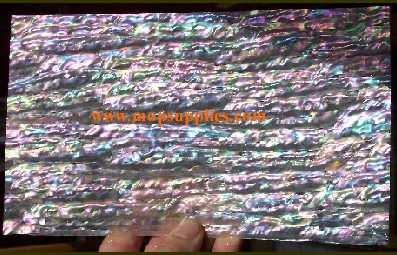 Awabi strip veneer