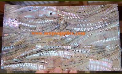 Green abalone light glued sheet