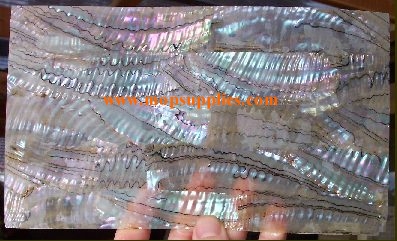 Green abalone light veneer