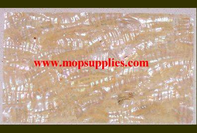 Japanese Awabi veneer "B"