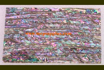 Green abalone glued sheet dark