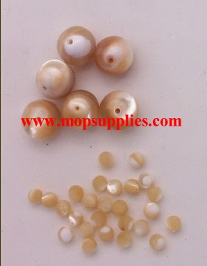 Trochus beads