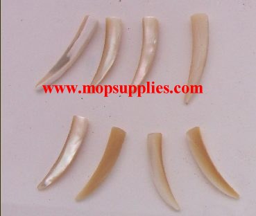 Trochus horn