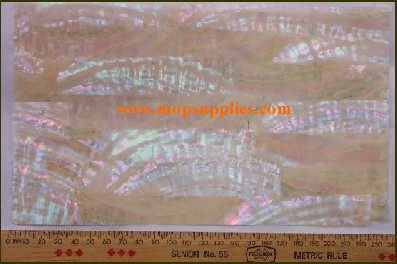 Awabi glued sheet