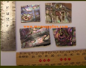 green abalone blanks