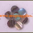 Green abalone dots