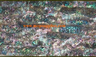 Green abalone glued sheets