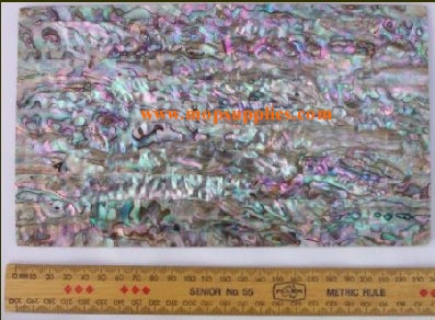 Pink abalone glued sheets