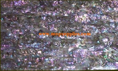 Pink abalone heart glued sheets