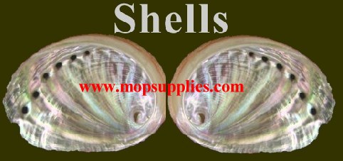Shells