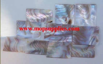 Washboard mussel blanks