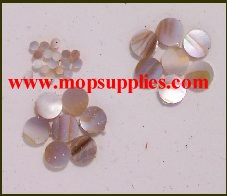 Washboard mussel dots